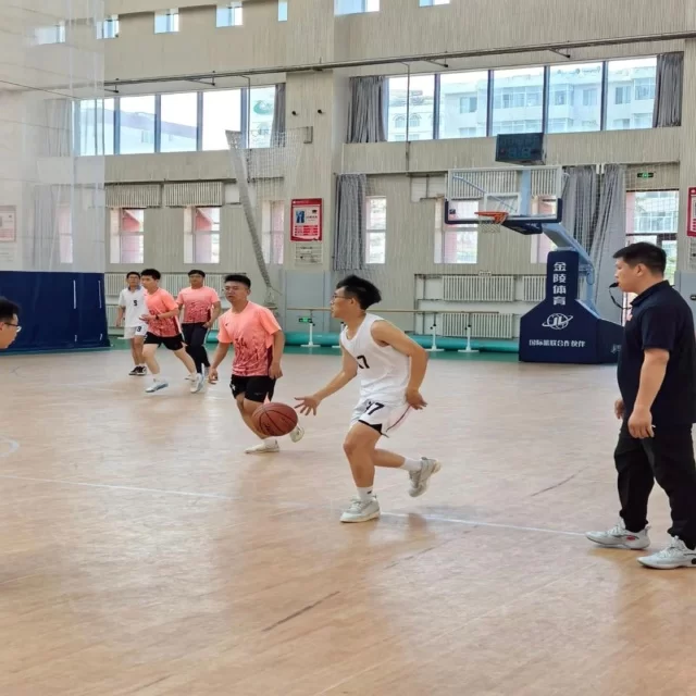 从数据视角深度解析篮球季后赛走势之规律